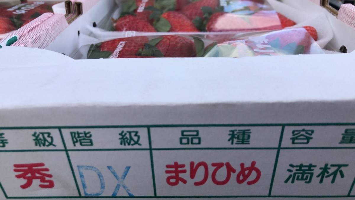 半額! 和歌山県産 まりひめ いちご DX 秀品 ４パック (約1,2kg) 小売価格\8800_画像3