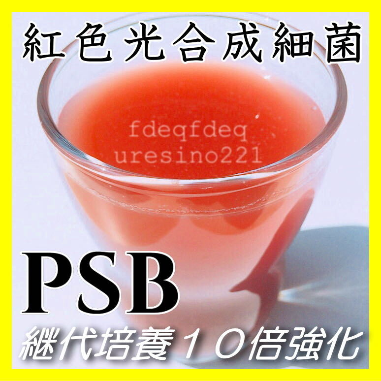 PSB２L＋光合成細菌最大100L拡大培養の素（培基）２００mlのセット★自分でふやしてPSBをたっぷり使う！（検索用：業務用,20L,18L,培基,餌,の画像4