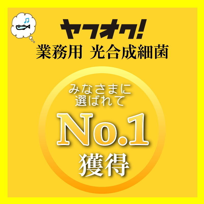 PSB２L＋光合成細菌最大100L拡大培養の素（培基）２００mlのセット★自分でふやしてPSBをたっぷり使う！（検索用：業務用,20L,18L,培基,餌,の画像2