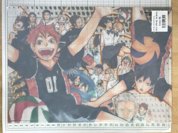 ハイキュー!! HAIKYU!! 2014SPRING 2015SPRING AE4-JF A4サイズ3枚 チケットホルダー２枚 クリアファイル (9319)の画像5