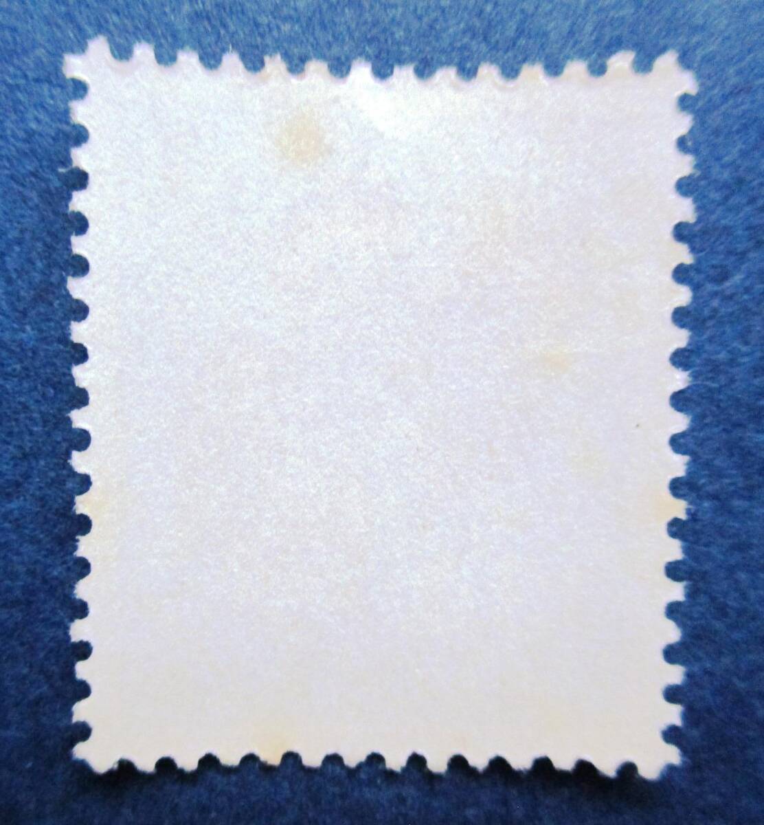 沖縄切手・琉球切手　第1次動植物シリーズ　チョウ　13￠切手。　BB19　肉眼で微かに見える？シミがあります。画像参照_画像5