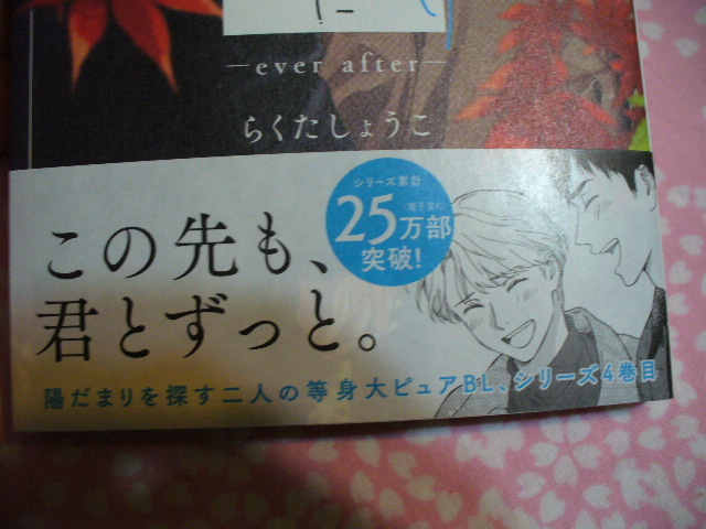 4/1発売●雨上がりの僕らについてーever afterー●コミコミ特典ペーパー付●らくたしょうこ～送料無料の画像2