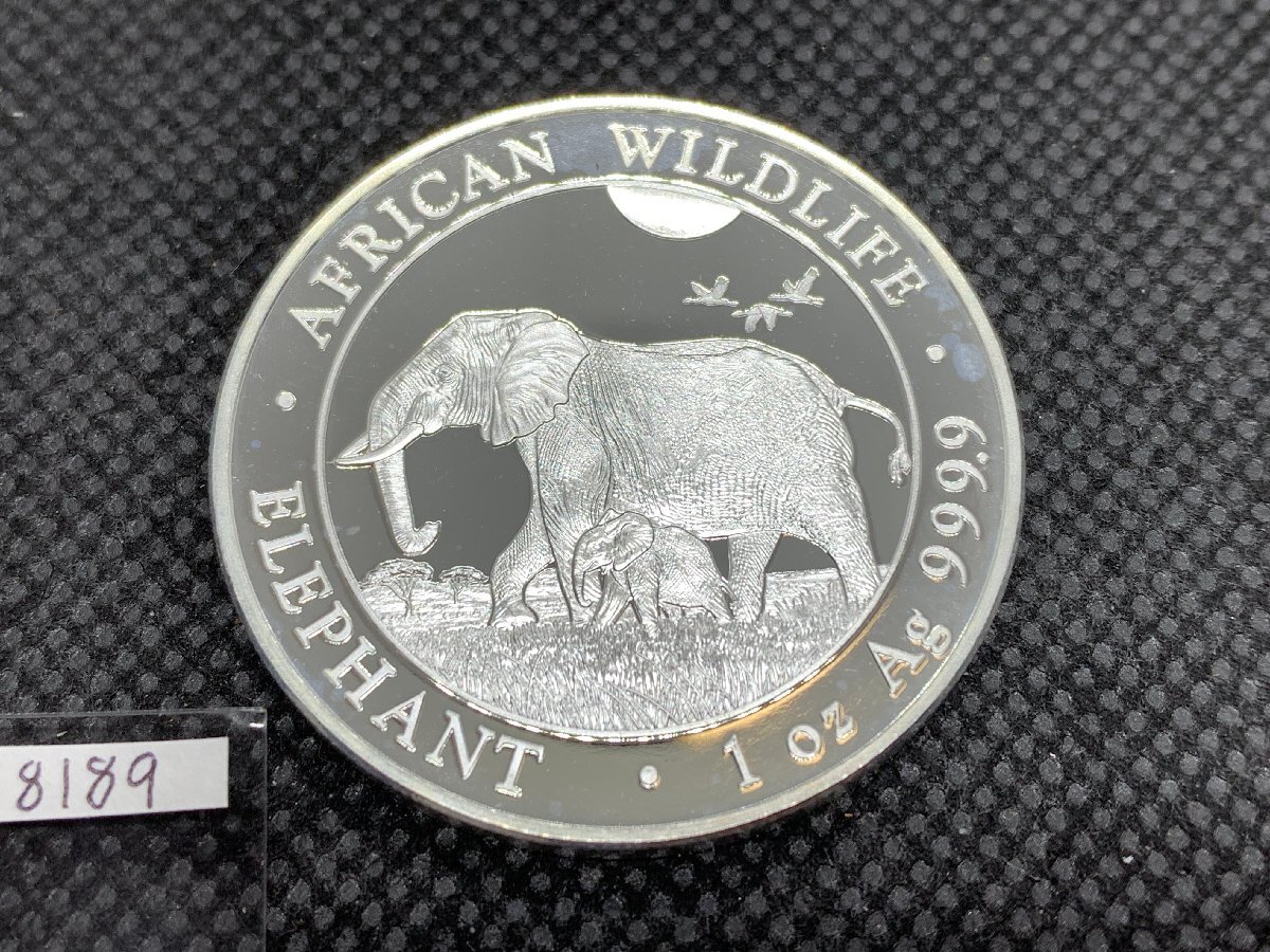 31.1グラム (新品) 2022年 ソマリア「アフリカ ・ワイルドライフ・ゾウ 」 純銀 1オンス 銀貨の画像1