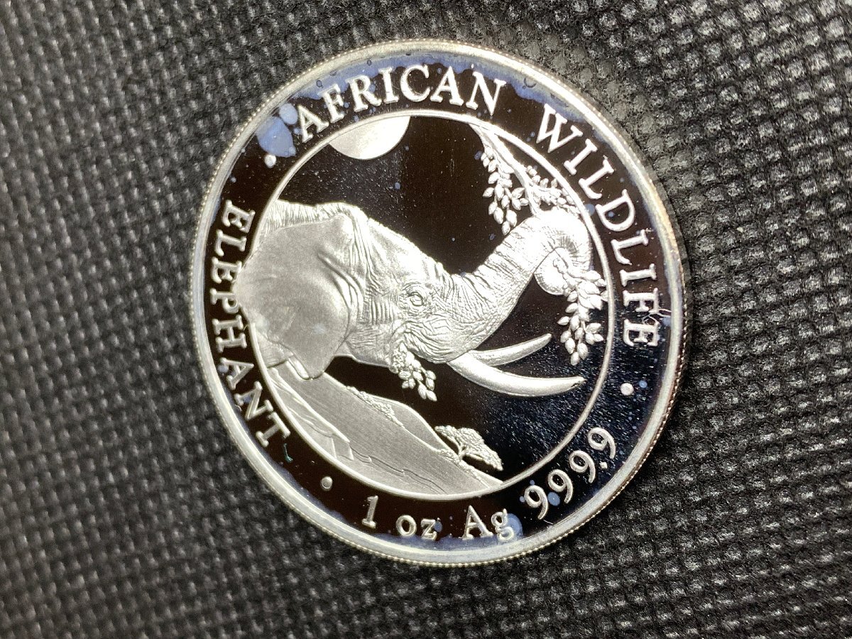 31.1グラム 2023年 (新品) ソマリア「アフリカ ワイルドライフ・ゾウ」純銀 1オンス 銀貨の画像3