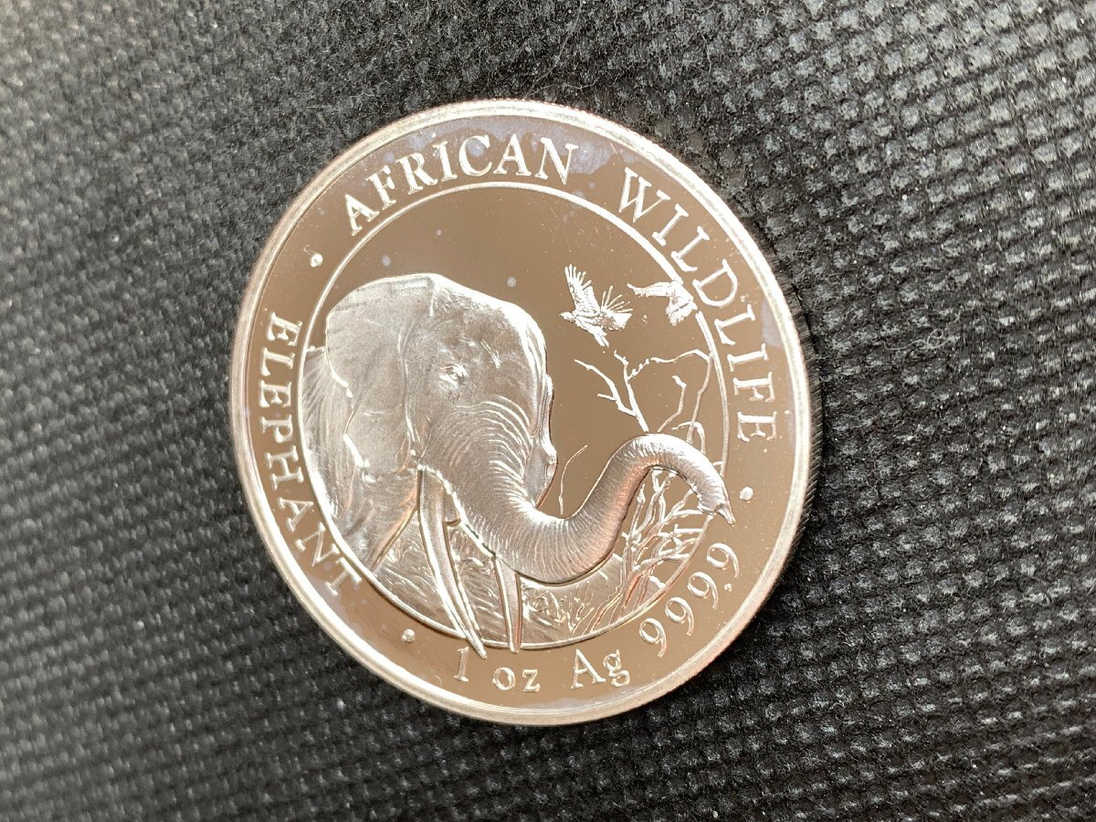 31.1グラム 2018年 (新品) ソマリア「アフリカ ワイルドライフ・ゾウ」純銀 1オンス 銀貨の画像3