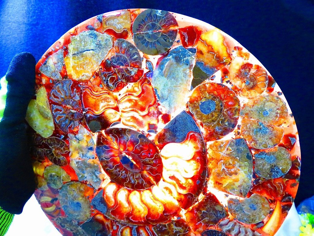 数万個の中の一個★天然マダガスカル産 ★ 縫合線オパールアンモナイト 化石標本超巨大722ｇ★260ｍｍ★tｋ1099の画像3