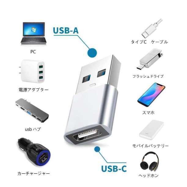 USB Type-C 変換 タイプC 変換アダプタ iPhone　2個_画像2