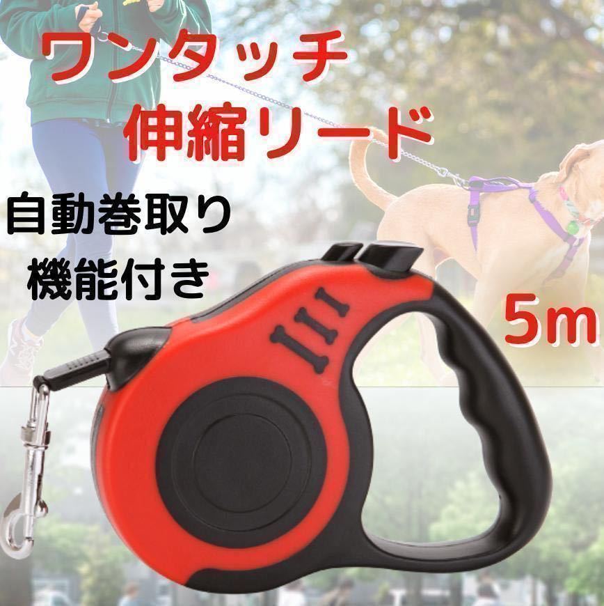 伸縮リード 犬用 赤 レッド 自動巻き取り ロック付き 5ｍ 散歩用 ペット用品の画像1
