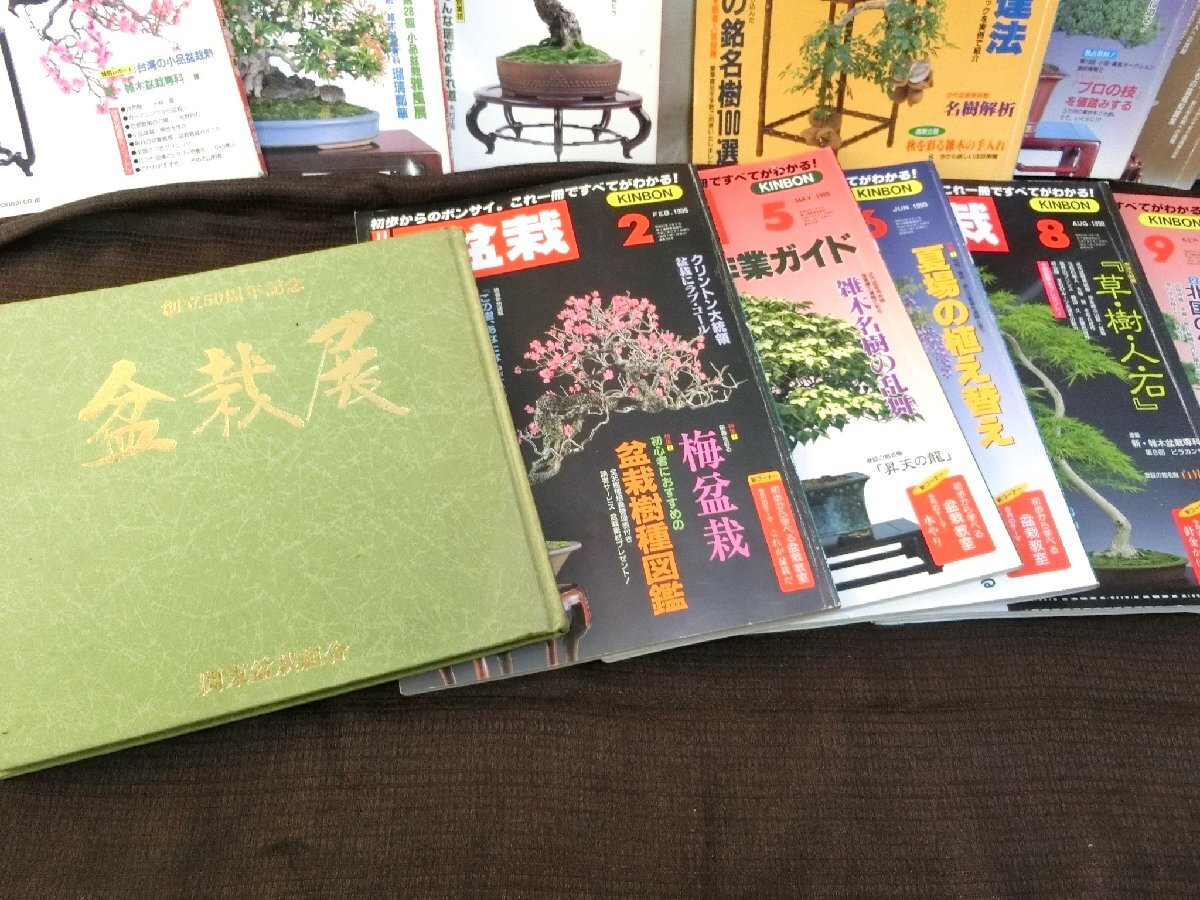 盆栽花木楽しみ方！【盆栽 本11冊１冊 近代盆栽 植木鉢 雑誌】◆豆鉢 蘭鉢 青磁鉢 美濃焼 趣味 展示植え替え※経済上向 骨董品薄の画像9