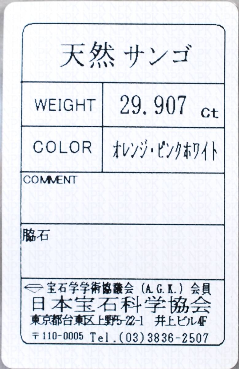 ￥100～ソ付K18妹尾隆正作エンジェル繊細な彫刻綺麗色艶照り良い！高知産天然桃珊瑚29.907ct30.7×17.6㍉全長40.0㍉PT_画像7