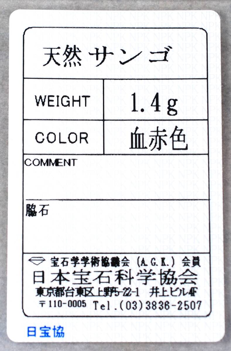 ￥100～ソ付K18高知産色濃く艶照り透明感良い！天然血赤珊瑚7.075ct28.6×10.1㍉全長36.5㍉PT の画像6