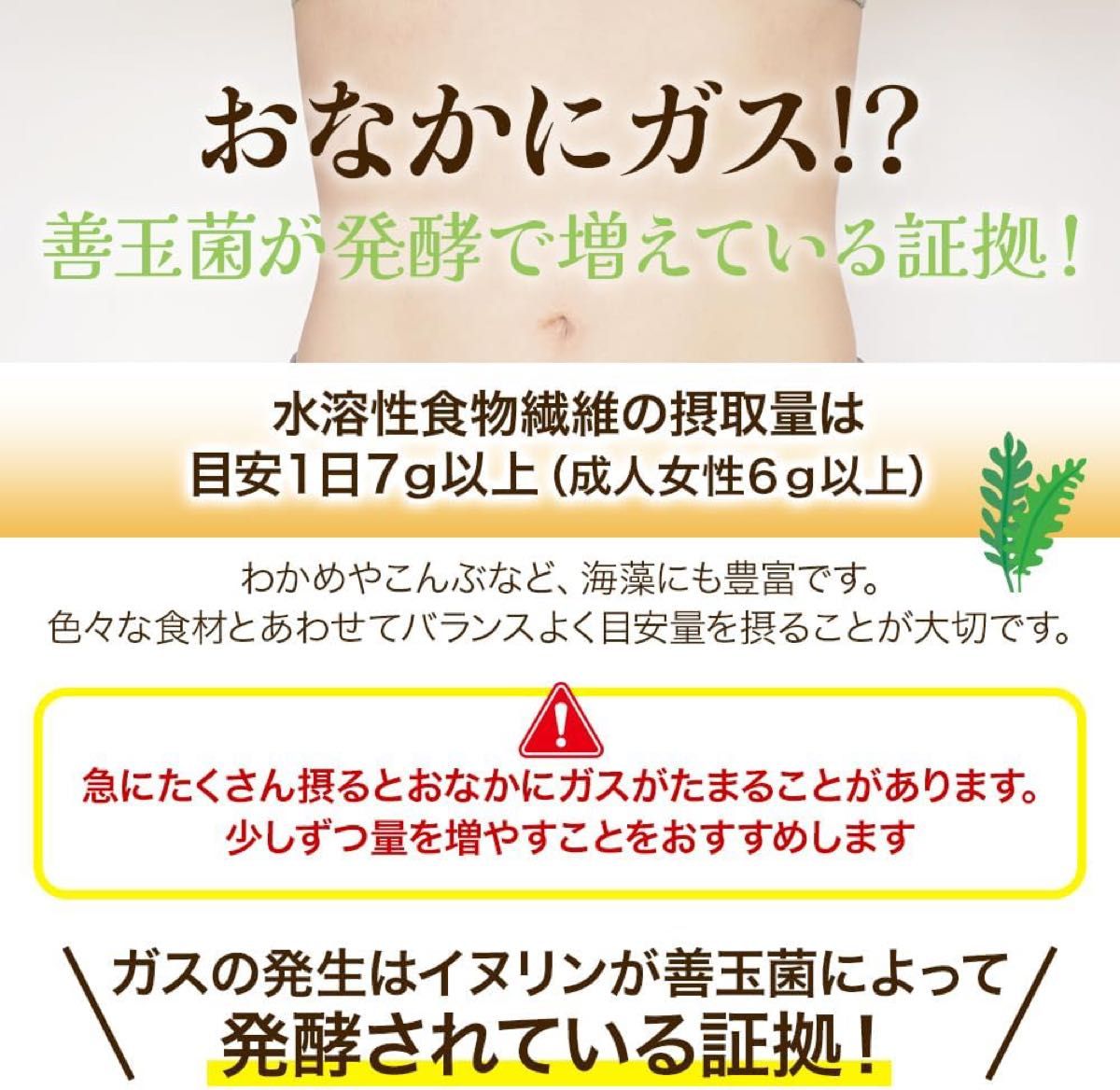 菊芋の粉末 80g 熊本県産菊芋100% 水溶性食物繊維 イヌリン　食物繊維　腸活