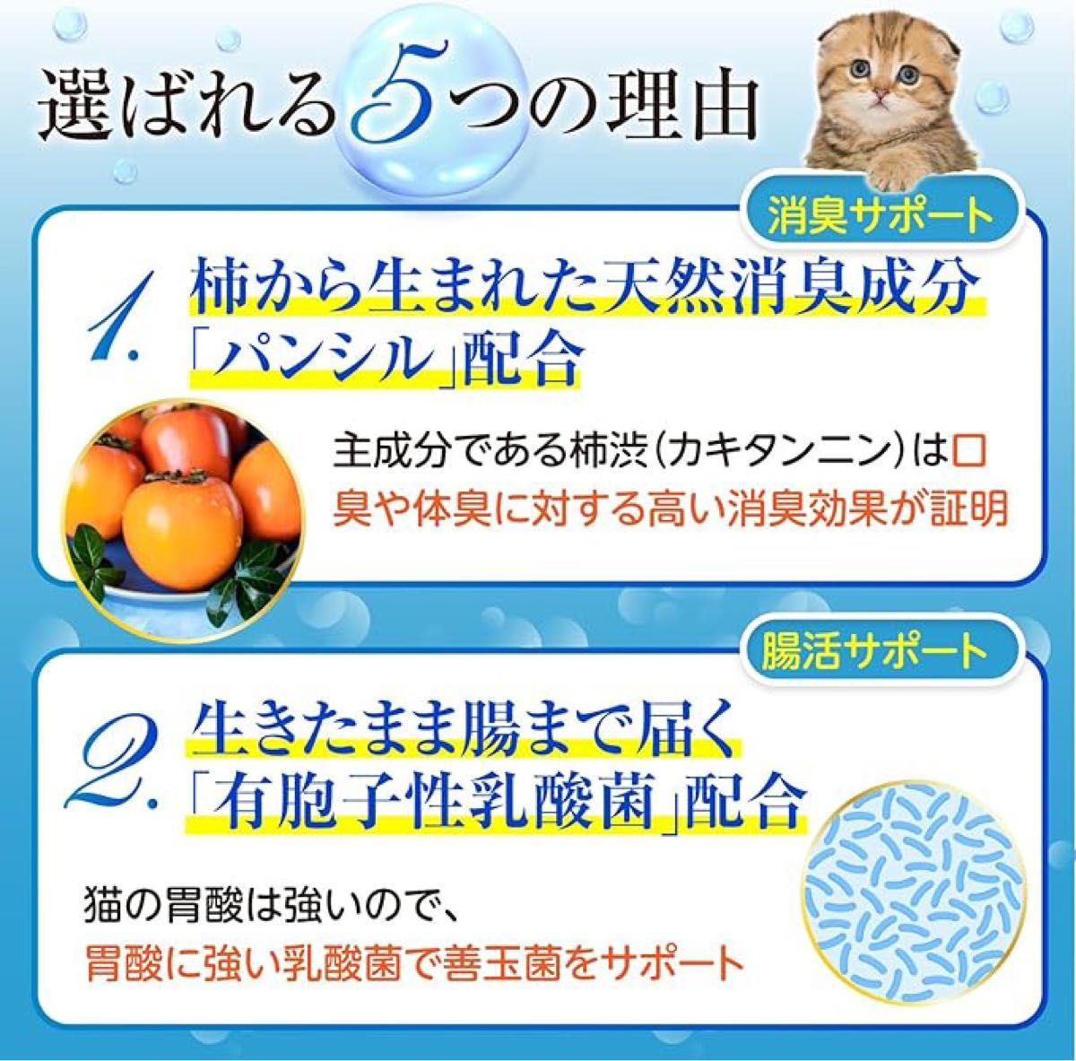 猫専用 乳酸菌サプリ デンタルケア 口臭ケア ふりかけ サプリメント 歯磨き 30日分 日本製