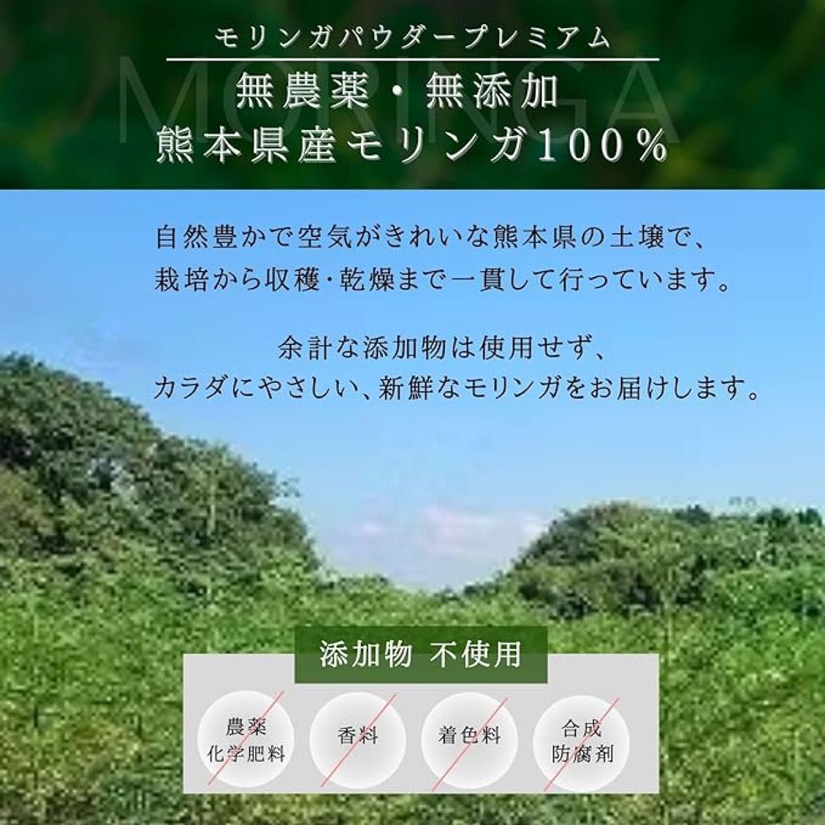 モリンガパウダー100%粉末 国産 スティック 個包装 2g×30包 熊本県産 無添加　コレステロール　視力　血圧