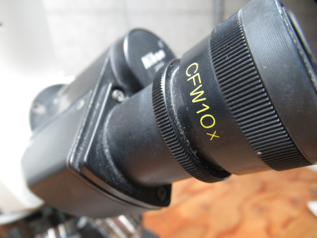 Nikon ニコン OPTIPHOT 生物顕微鏡 レンズ構成:[CFW10x]x2 / 対物[Plan10/Plan40/Plan60/Plan100] 光学機器 顕微鏡 管理6k0413D-F06の画像4