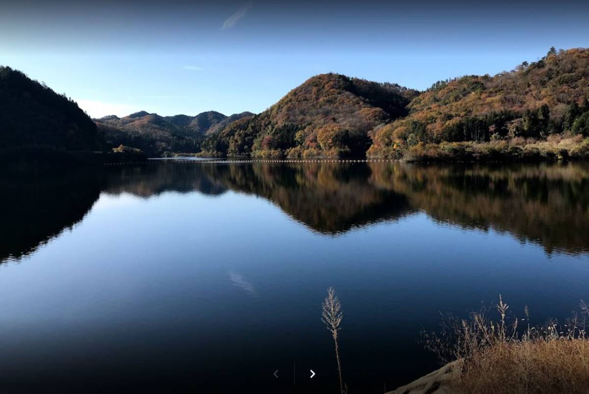 アスパラガス　朝採り即日発送　青木農園　茨城常陸大宮産（旧御前山村）　Lサイズ4束　市場卸品直売　_御前山ダムの豊かな水源