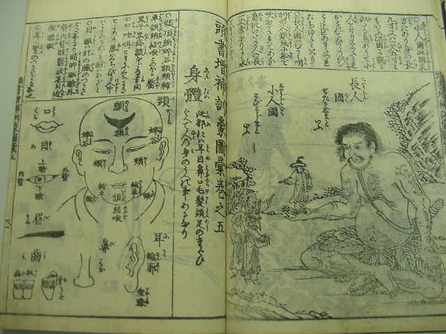 ■異国人阿蘭陀人南蛮など江戸時代の人物職業図鑑『訓蒙図彙大成 1冊』江戸版職人尽くし遊女相撲医学絵入り絵本和本浮世絵木版唐本古書■の画像4