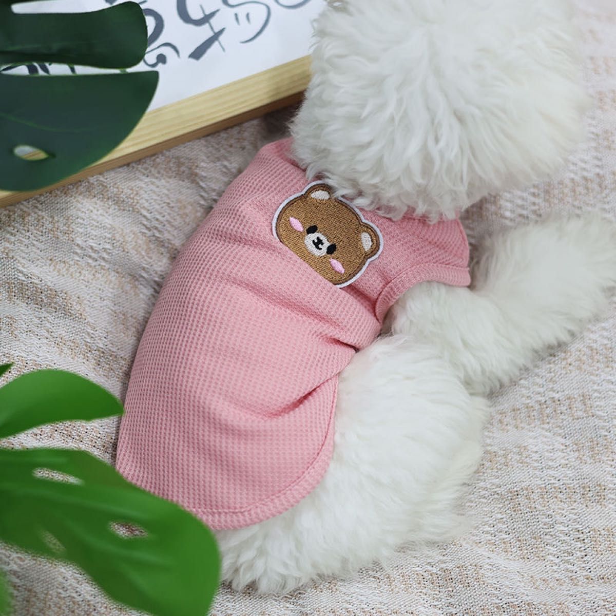 ペット服 犬服 ドッグウェア  小型犬 タンクトップ    ホワイト　Mサイズ