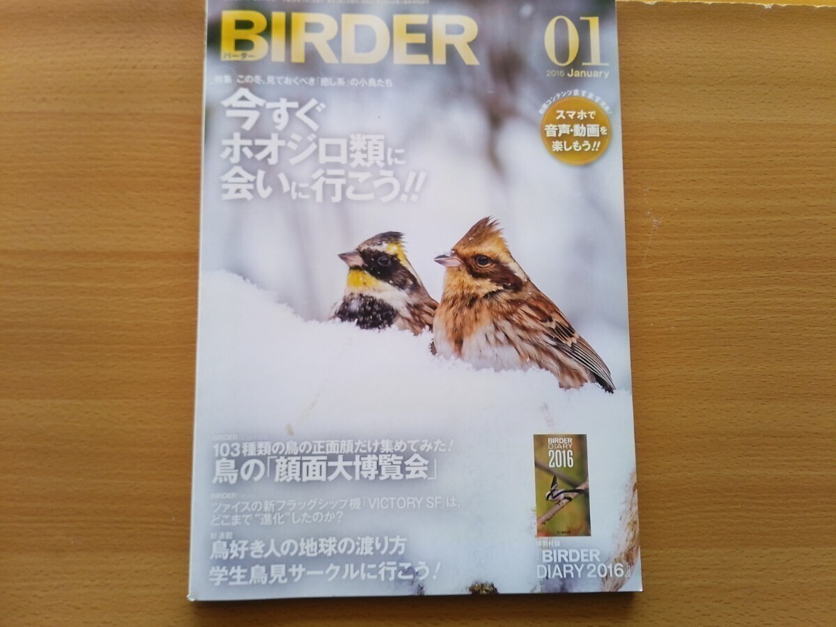 即決 バーダー保存版 ホオジロ科・ ホオアカ・ミヤマホオジロ・カシラダカ・アオジ・クロジ・オオジュリン・野鳥 バードウォッチングの画像1