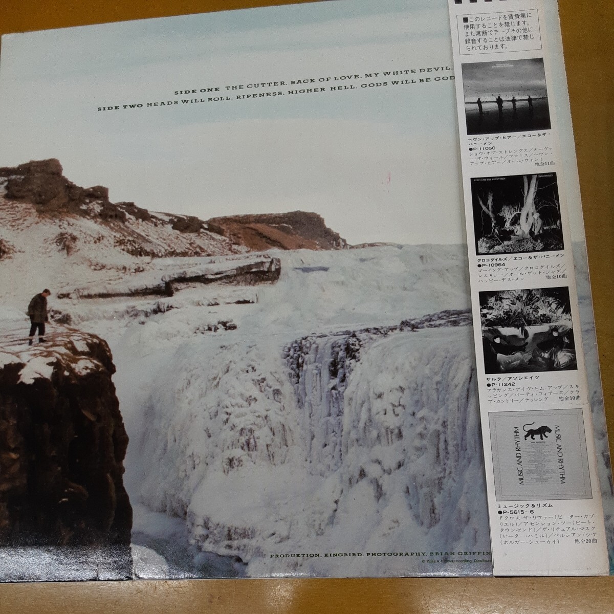 LP /帯付 /Echo &Bunnymen /エコー& バニーメン /ポーキュパイン やまあらし_画像2