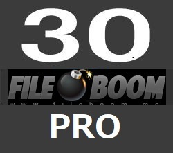 fileboom PRO30日公式プレミアムクーポン 1分で発送 親切サポート 必ず商品説明をお読み下さい。の画像1