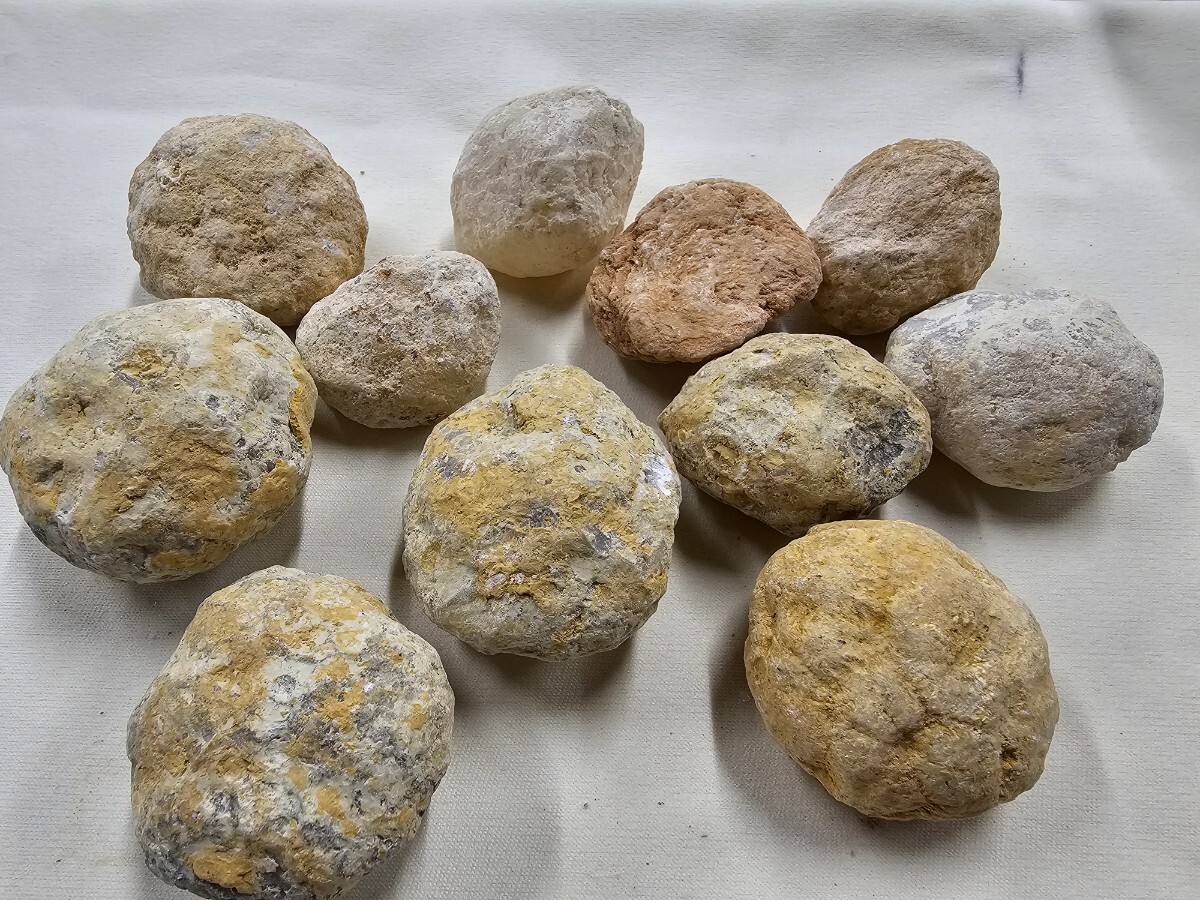 S-119 天然石 原石 モロッコ産 水晶ジオード 自分で割る １１個の画像1