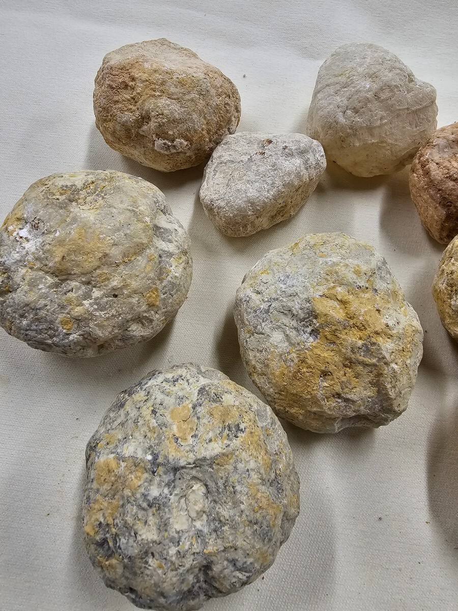 S-119 天然石 原石 モロッコ産 水晶ジオード 自分で割る １１個の画像5
