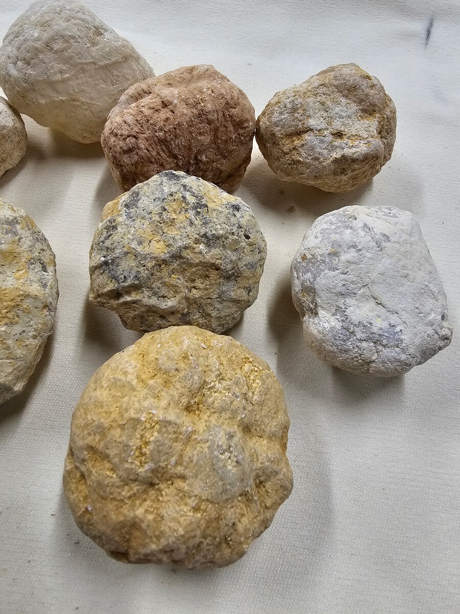 S-119 天然石 原石 モロッコ産 水晶ジオード 自分で割る １１個の画像6