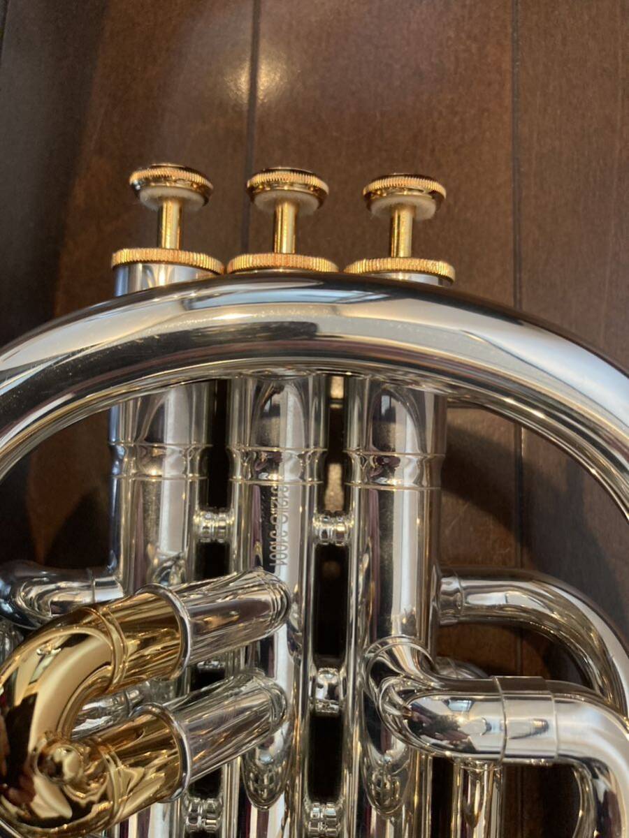  tenor horn AMUSE AMT-312ⅡG