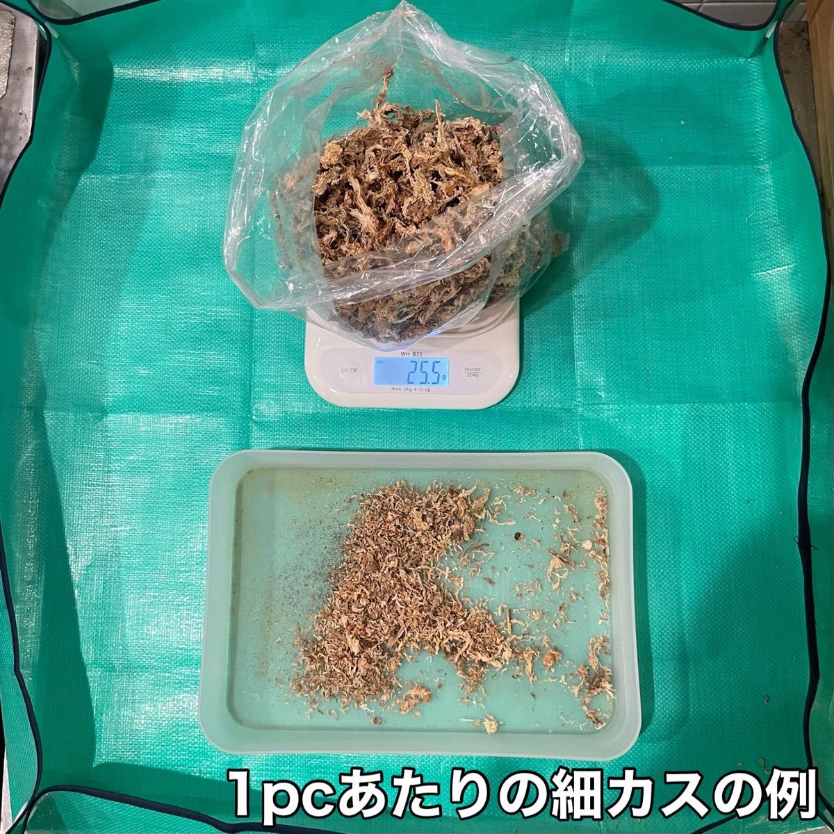 天然水苔 ミズゴケ 水ごけ 乾燥水苔 チリ産 Ｓクラス 25g