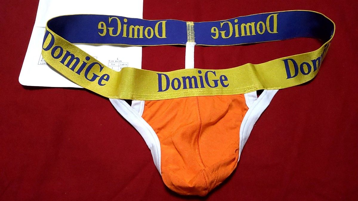 u-029 DomiGe T-backビキニパンツ TバックThong