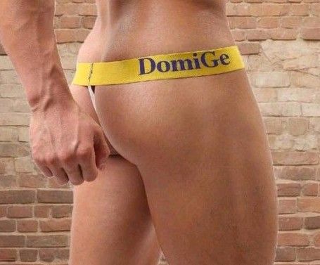 u-029 DomiGe T-backビキニパンツ TバックThong