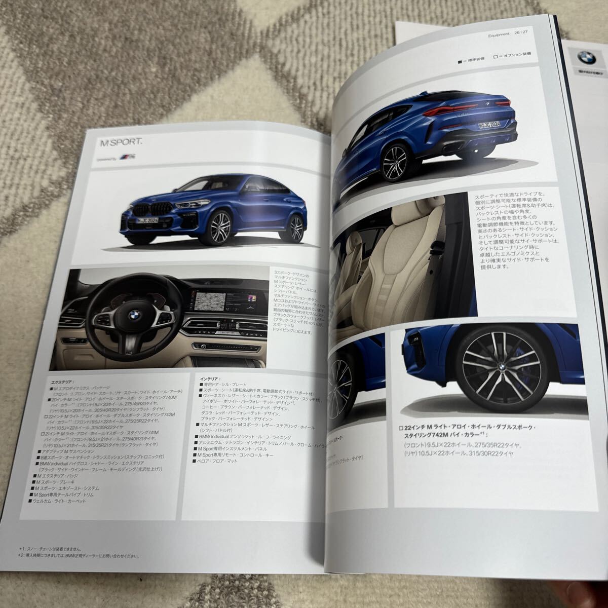 2020年8月　BMW X6カタログ _画像4