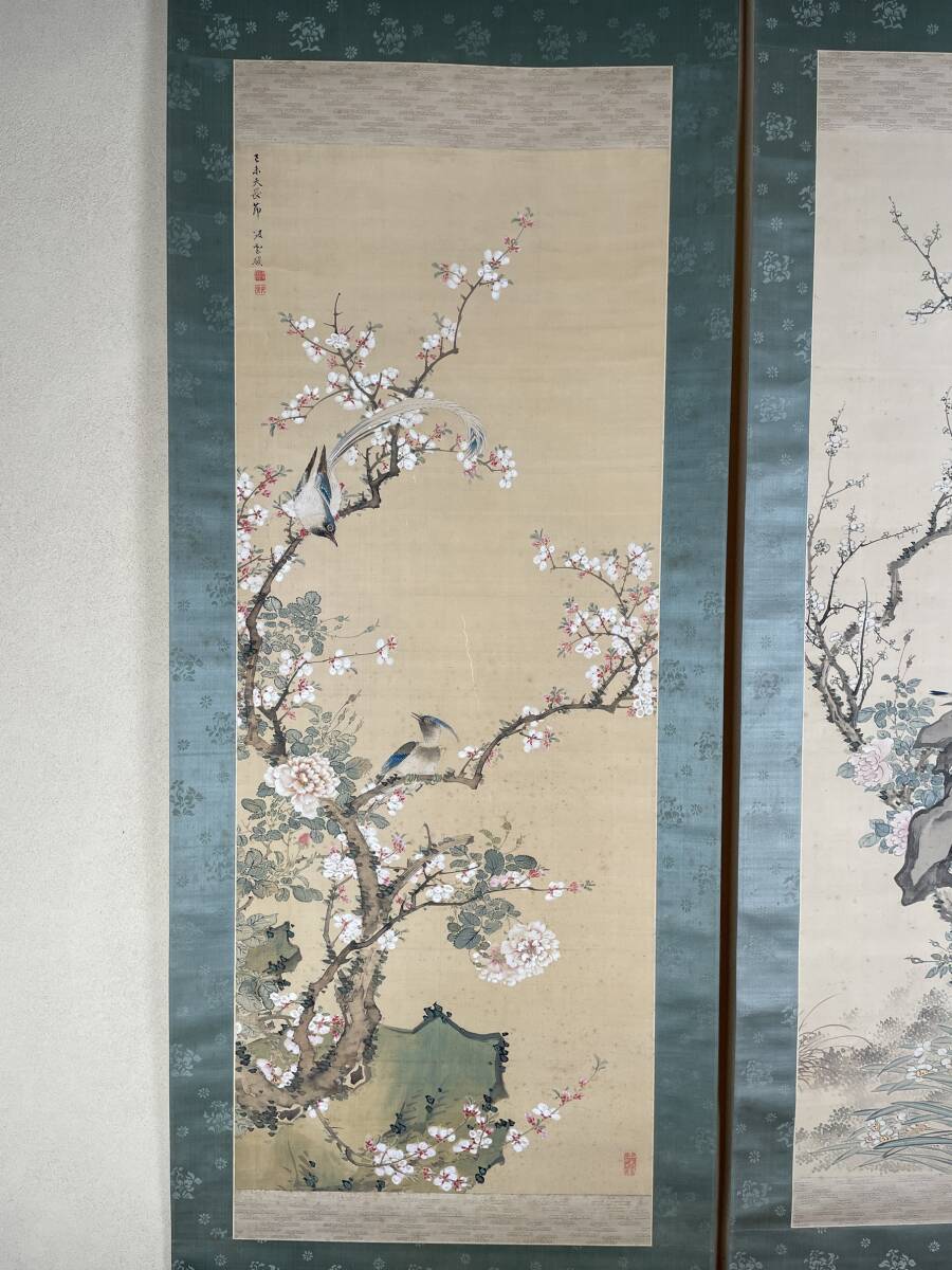 [ genuine work ] Yamamoto plum .. height . wistaria ... silk book@ ultimate coloring flowers and birds map . width . goods China paper .