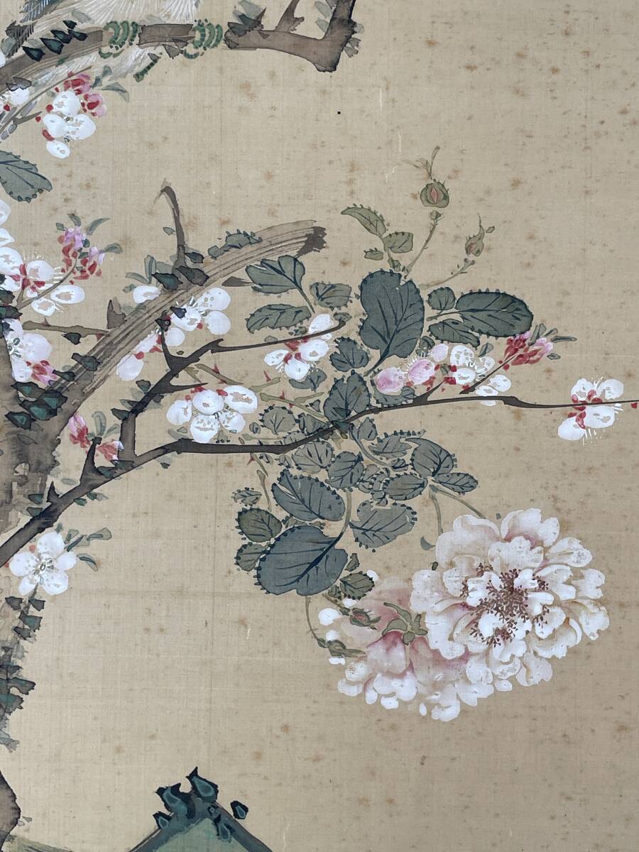 [ genuine work ] Yamamoto plum .. height . wistaria ... silk book@ ultimate coloring flowers and birds map . width . goods China paper .