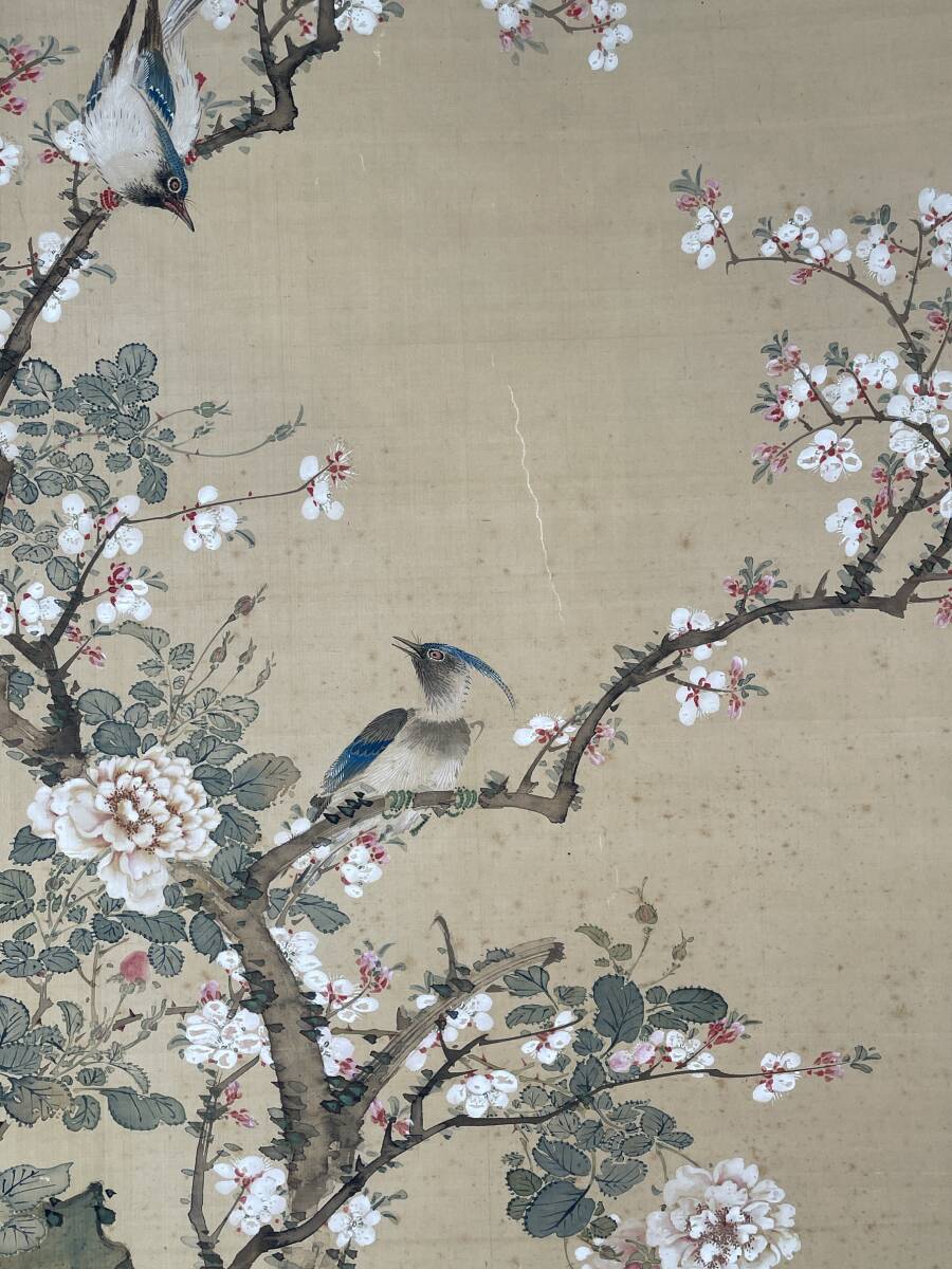 [ genuine work ] Yamamoto plum .. height . wistaria ... silk book@ ultimate coloring flowers and birds map . width . goods China paper .