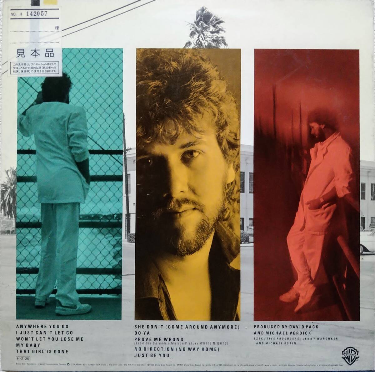 【LP AOR】David Pack「Anywhere You Go....」Promo JPN盤 白プロモ I Just Can't Let Go feat.James Ingram.Michael McDonald 他 収録！_裏ジャケット