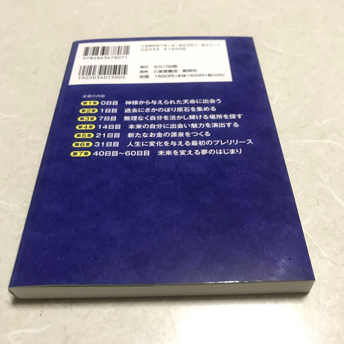 たった６０日間で手に入れる女性が輝くひとりビジネスのつくり方　人生、夢を捨てなくても輝き続ける方法 冲田賢史／著