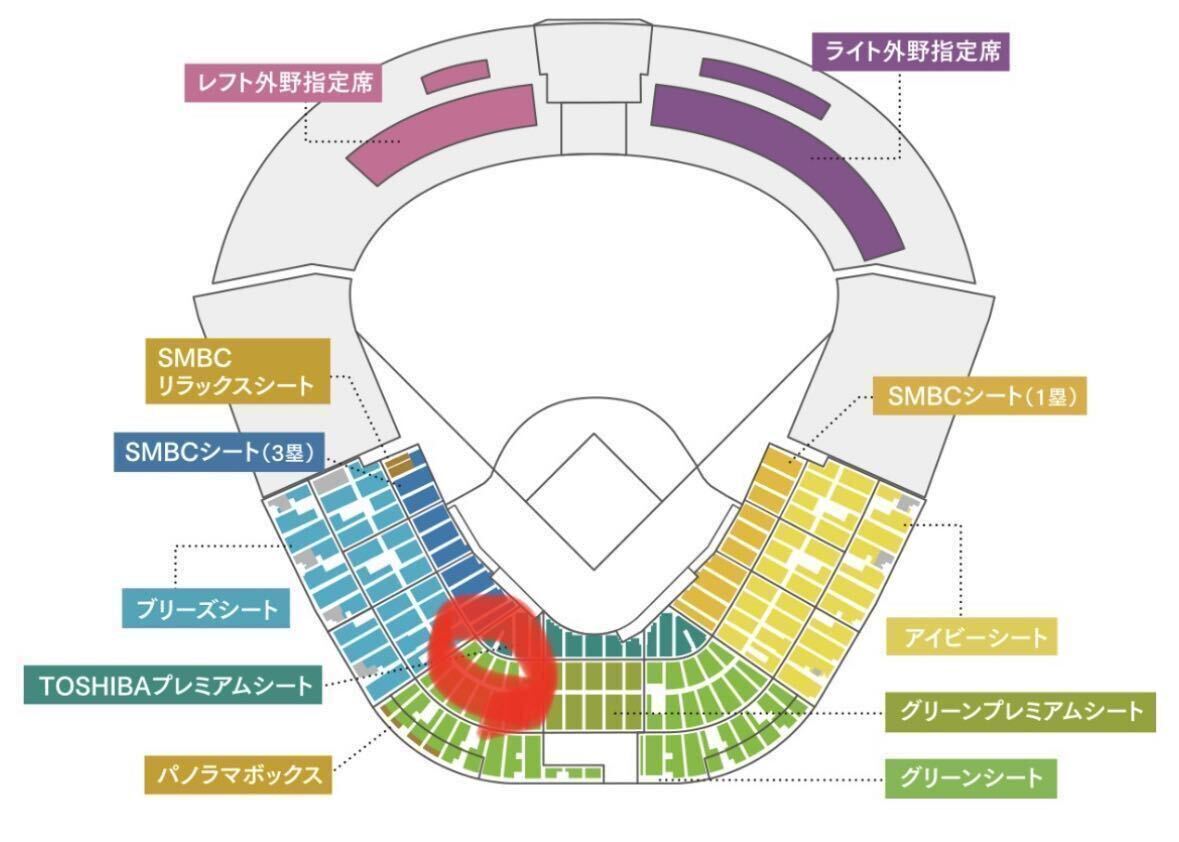 5月18日（土）阪神 vs ヤクルト 甲子園 グリーンシート1-5段どこか通路側より２席 先着でチケットホルダープレゼントありの画像2