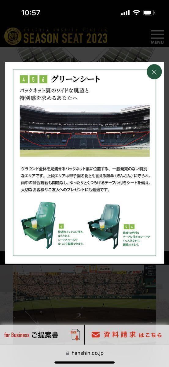 5月18日（土）阪神 vs ヤクルト 甲子園 グリーンシート1-5段どこか通路側より２席 先着でチケットホルダープレゼントありの画像4