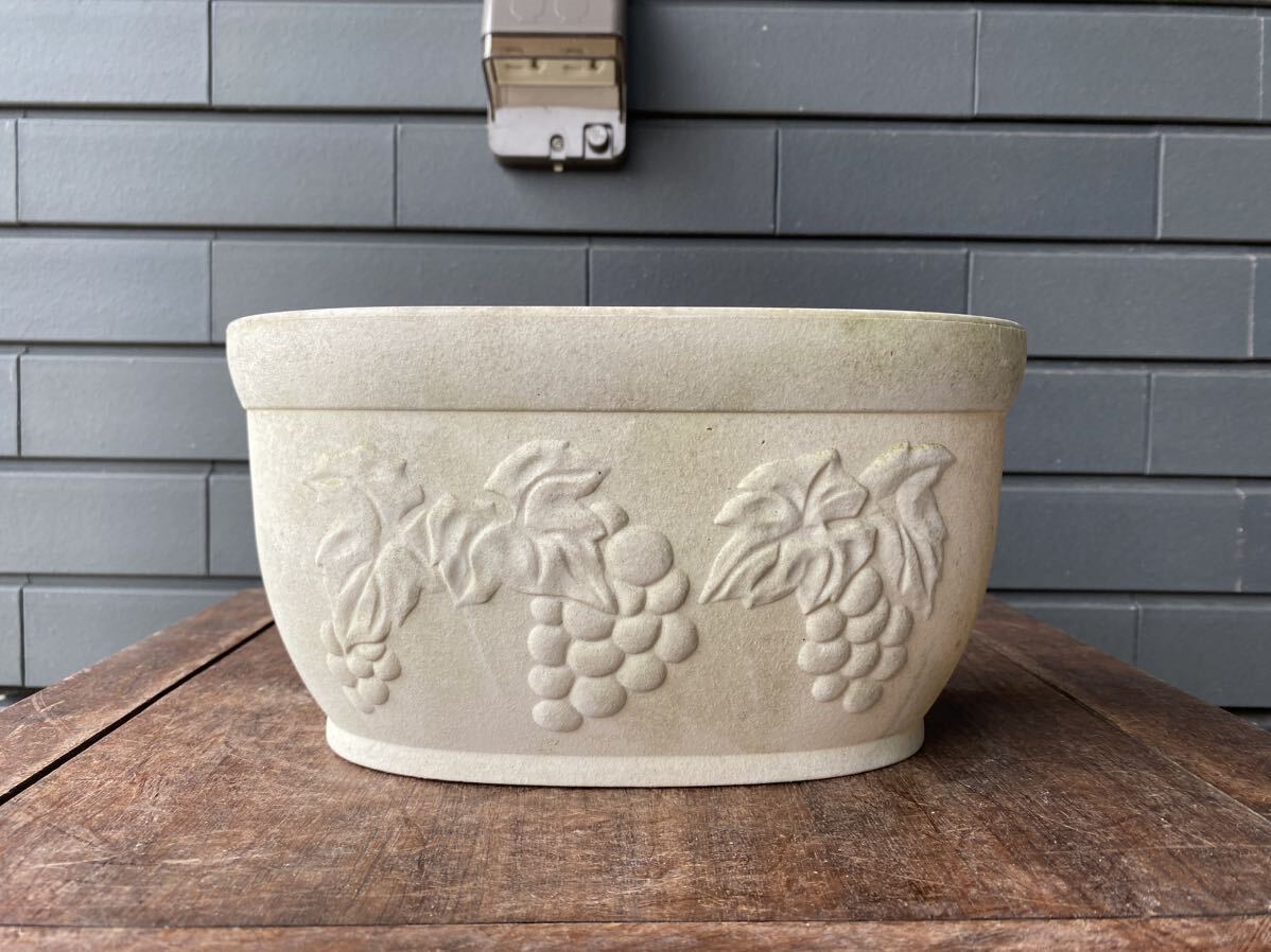  plant pot planter plastic terra‐cotta decorative plant succulent plant fields and mountains grass . flower flower pattern white ellipse gardening gardening pot 