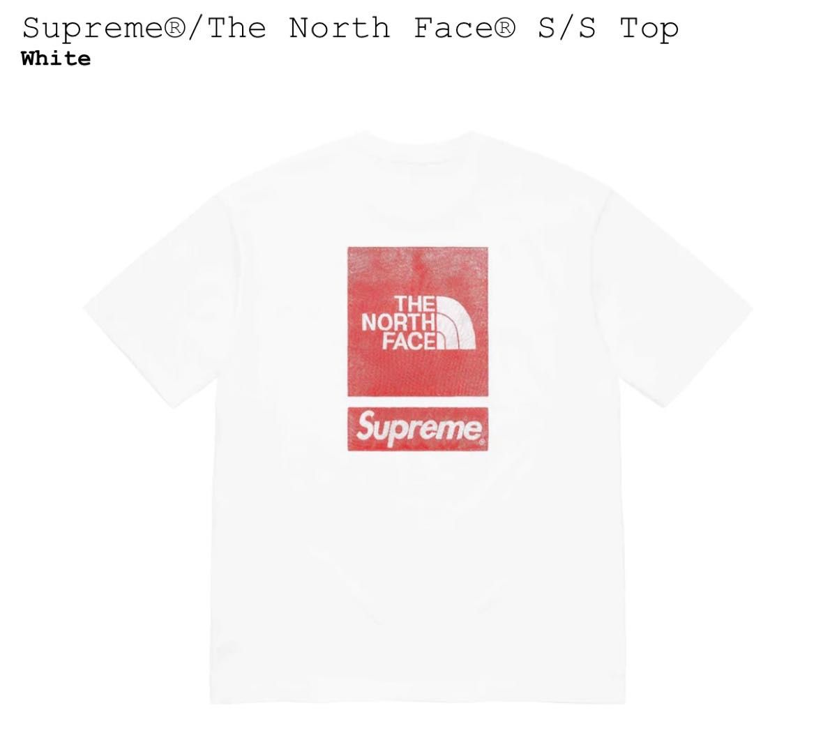 Supreme/The North Face S/S Top シュプリーム/ザ・ノース・フェイス Tシャツ