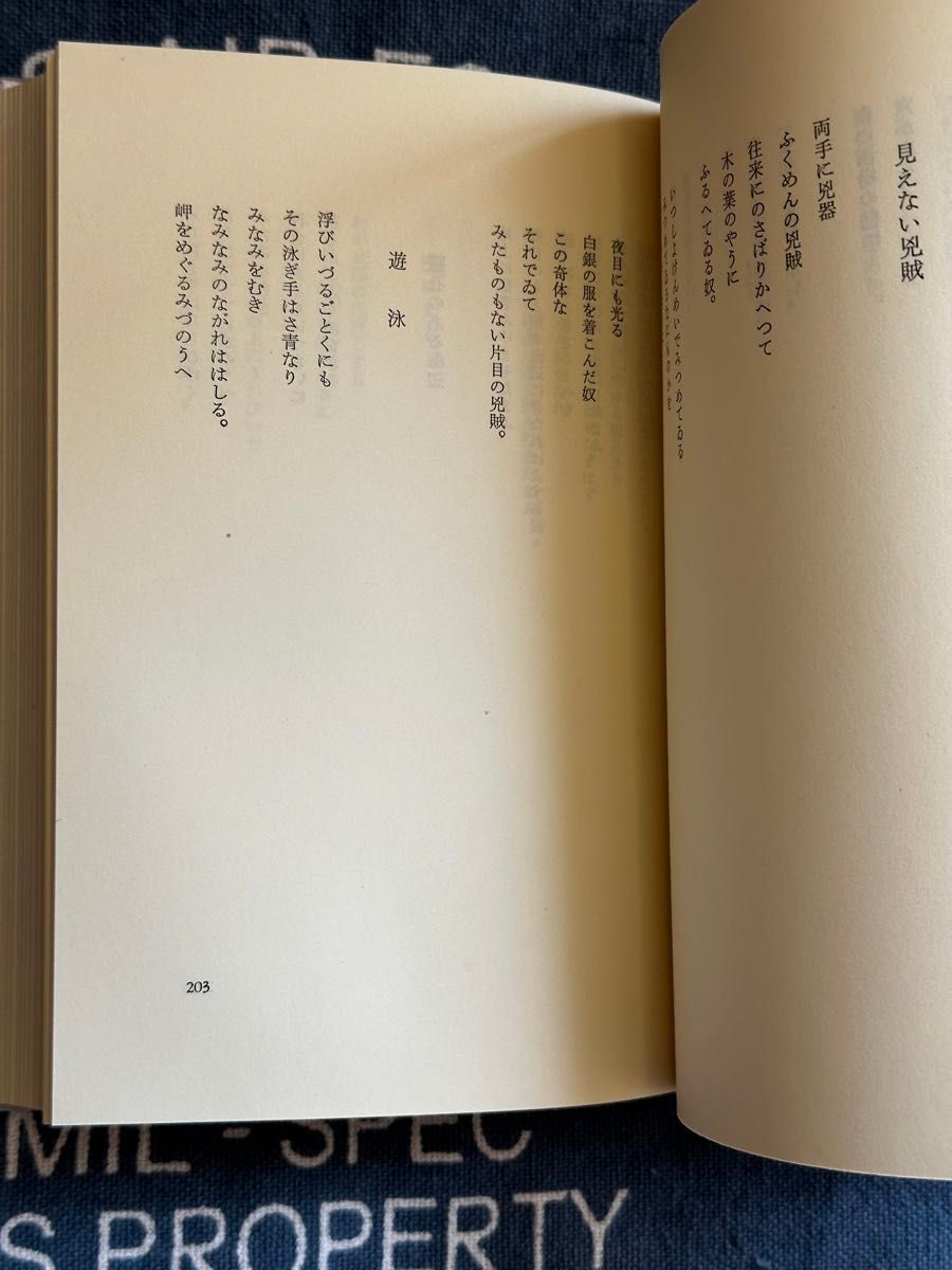 日本の詩　萩原朔太郎　昭和50年発行　ほるぷ出版