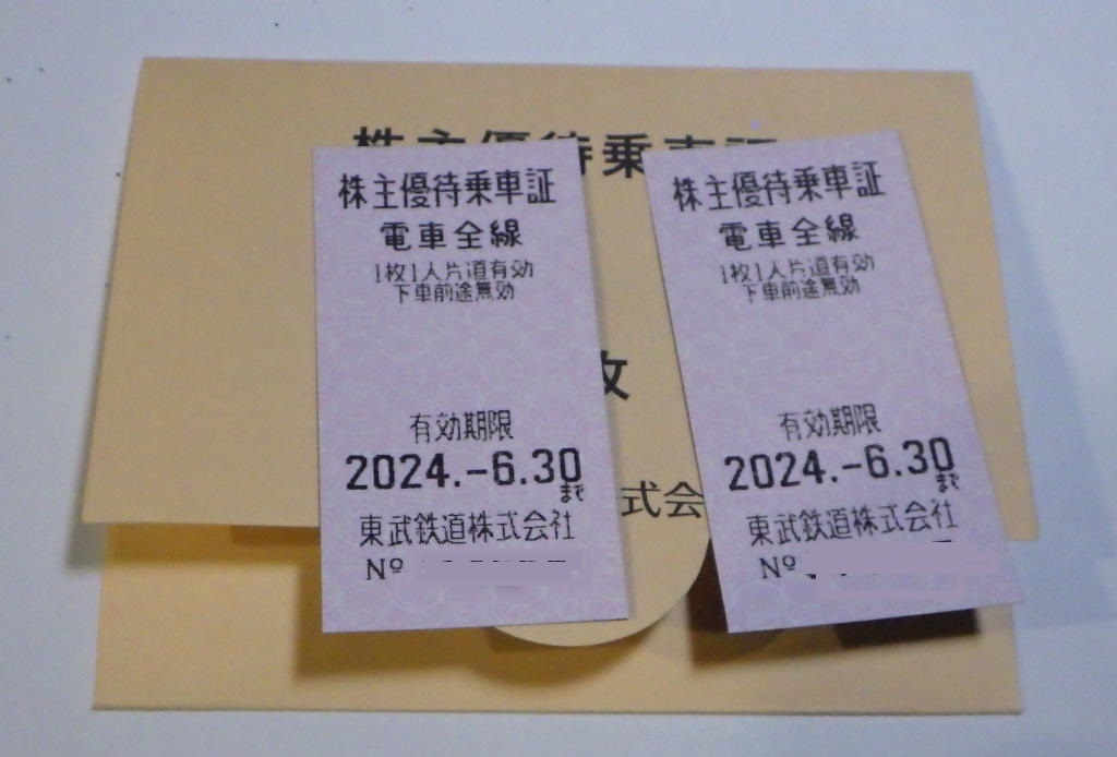 東武鉄道 株主優待乗車証 2枚 有効期限2024年6月30日の画像1