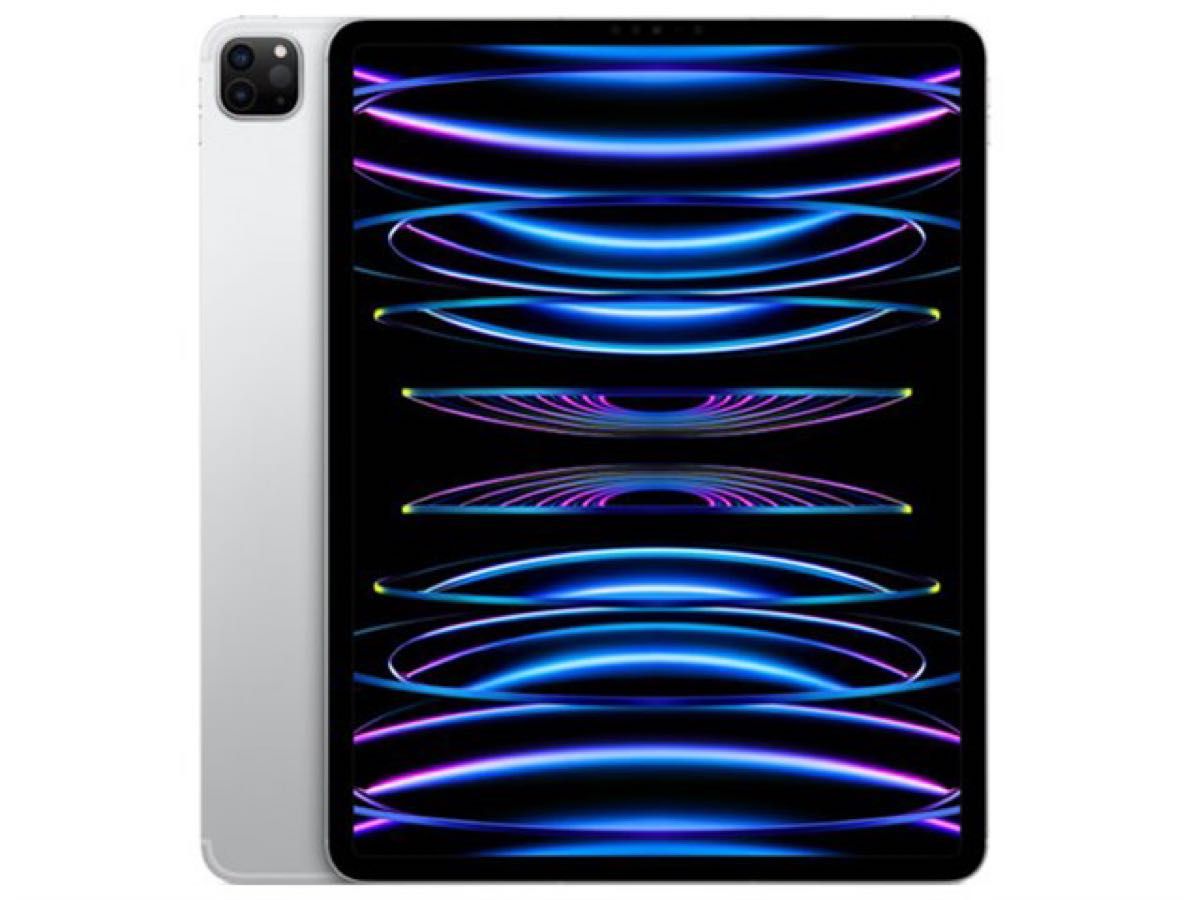 新品未開封】IPad pro 12 9インチ 256GB シルバー Wifiモデル 新品未開封】IPad pro 12 9インチ 256GB シルバー Wifiモデル