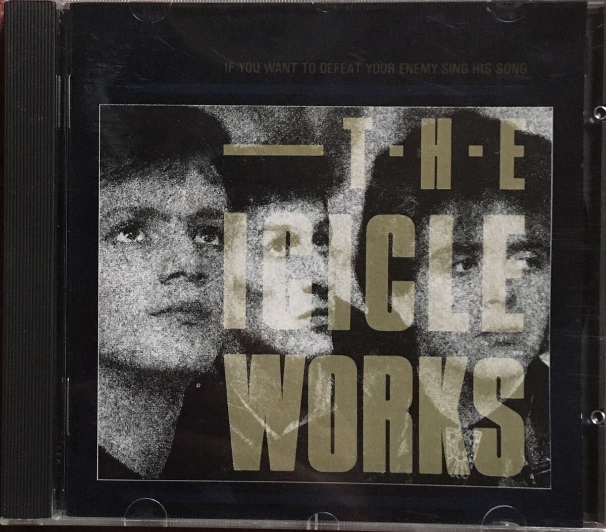 The Icicle Works[If You Want To Defeat Your Enemy Sing His Song](UK- Beggars Banquet)Post Punk/New Wave/ネオサイケ/ギターポップの画像1