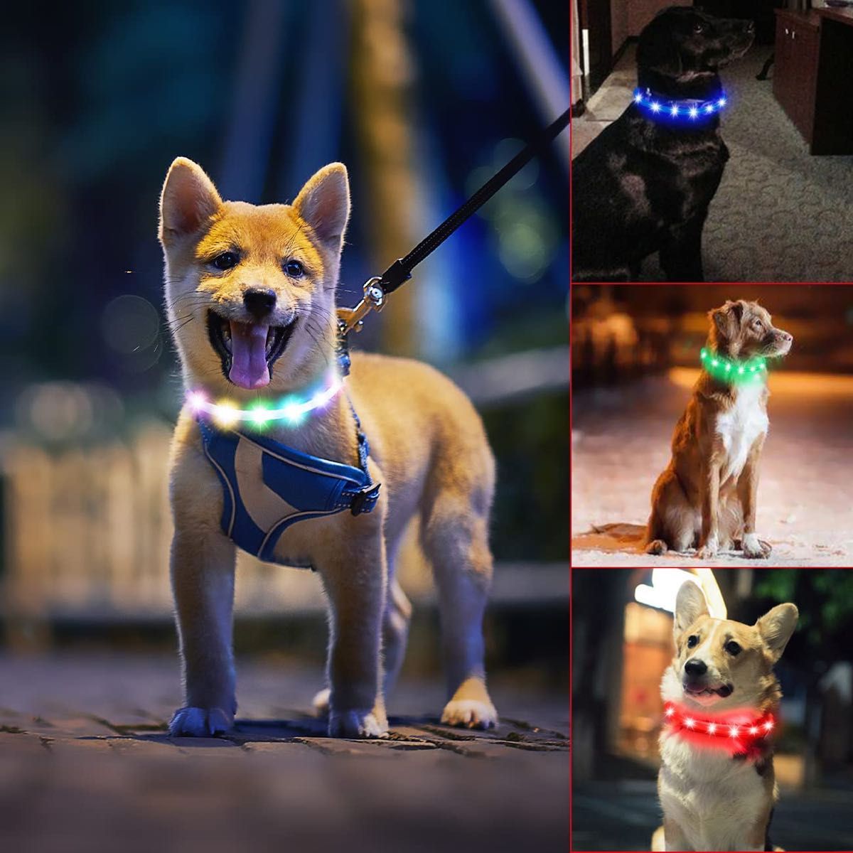 光る首輪 USB充電式　犬　青　20分充電で最長7時間使用可能　サイズ調節可能