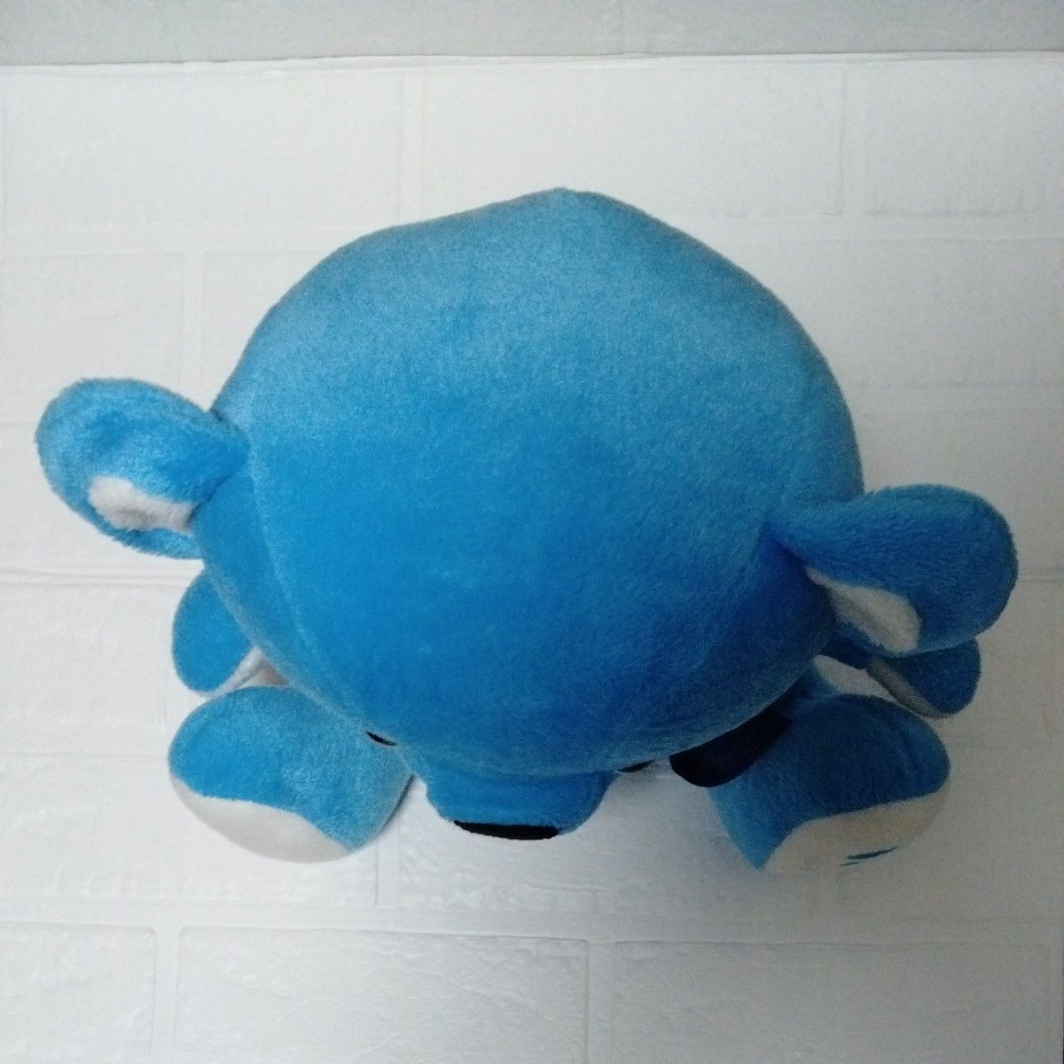 BLUE TEDDY 2005モデル a-nation 30センチくま avex｜Yahoo