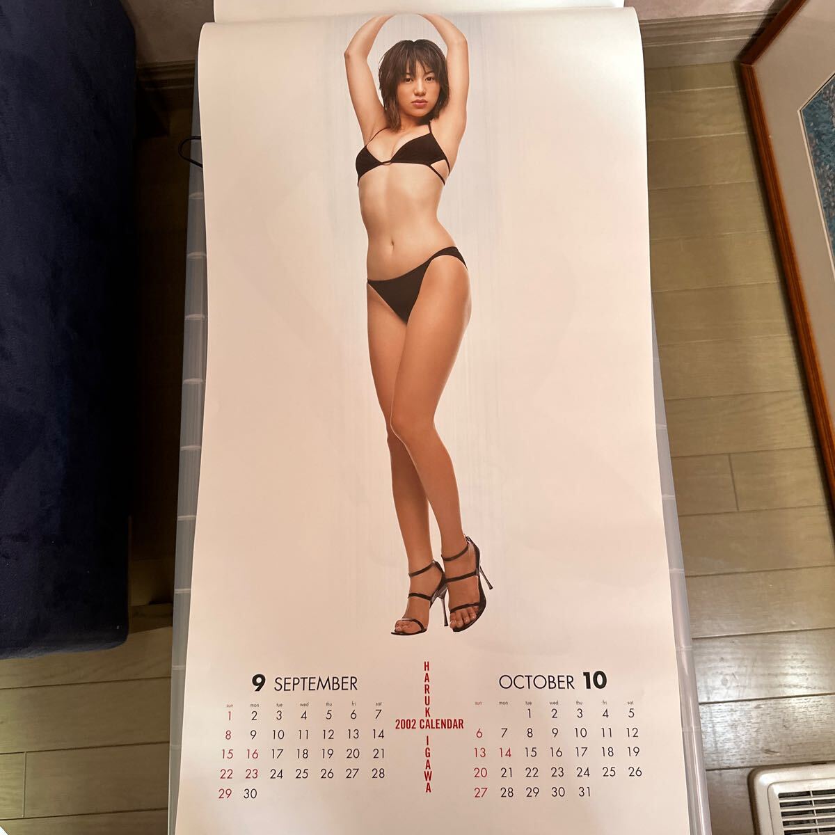  Igawa Haruka 2002 календарь 