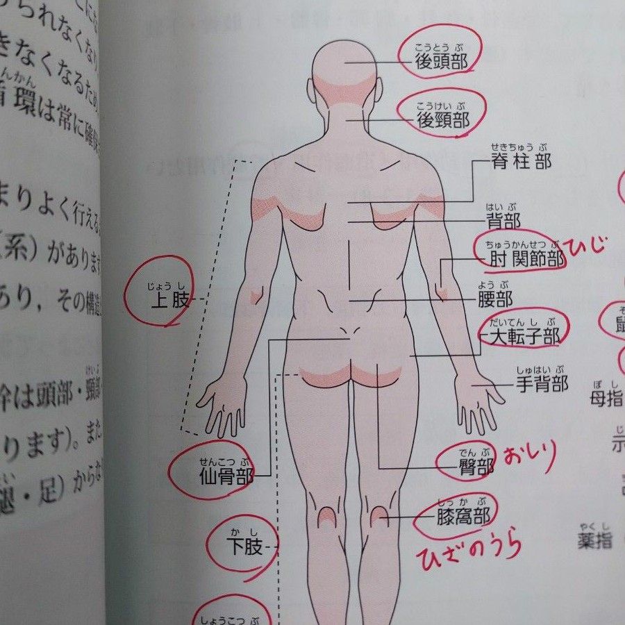 介護職員初任者研修テキスト1 介護職員初任者研修テキスト2 介護 介護職員初任者研修テキスト1 介護職員初任者研修テキスト2 介護